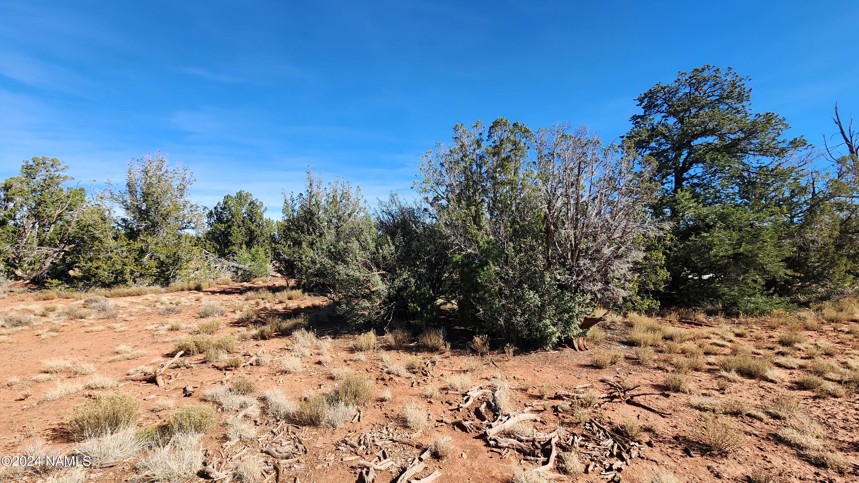 2091-2119 South Mountain View Road Williams, AZ 86046 - Photo 29 of 30 1000022338