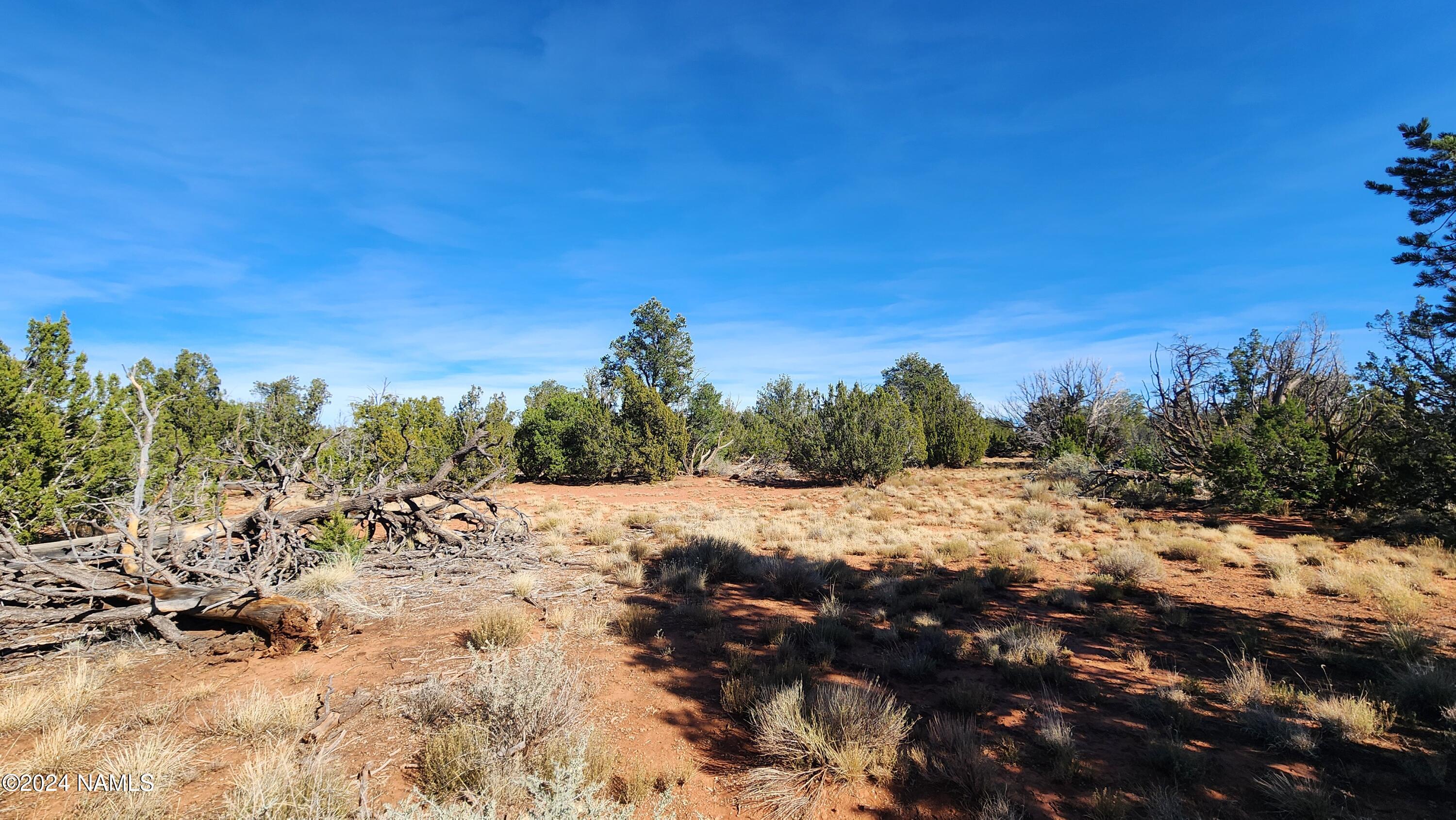 2091-2119 South Mountain View Road Williams, AZ 86046 - Photo 30 of 30 1000022340