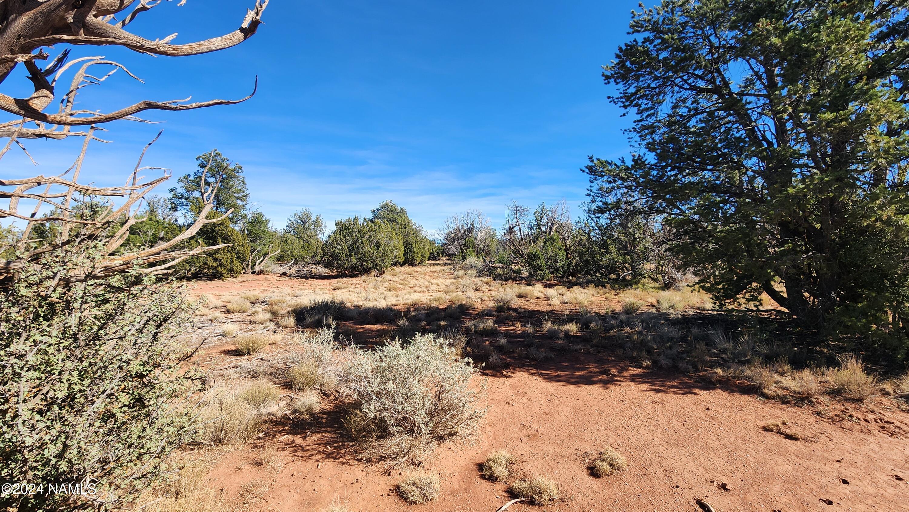 2091-2119 South Mountain View Road Williams, AZ 86046 - Photo 4 of 30 1000022339