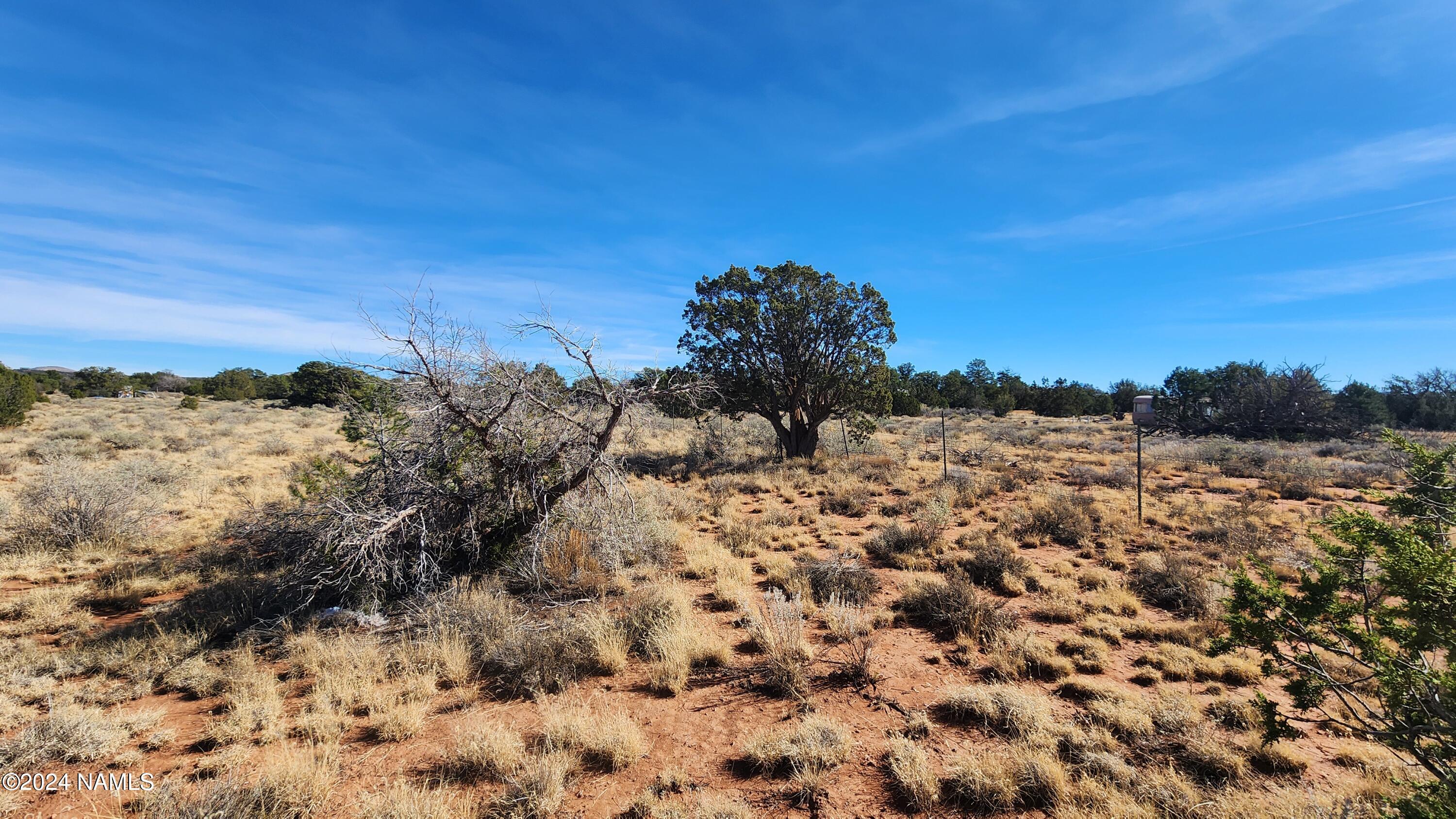 2091-2119 South Mountain View Road Williams, AZ 86046 - Photo 5 of 30 1000022310