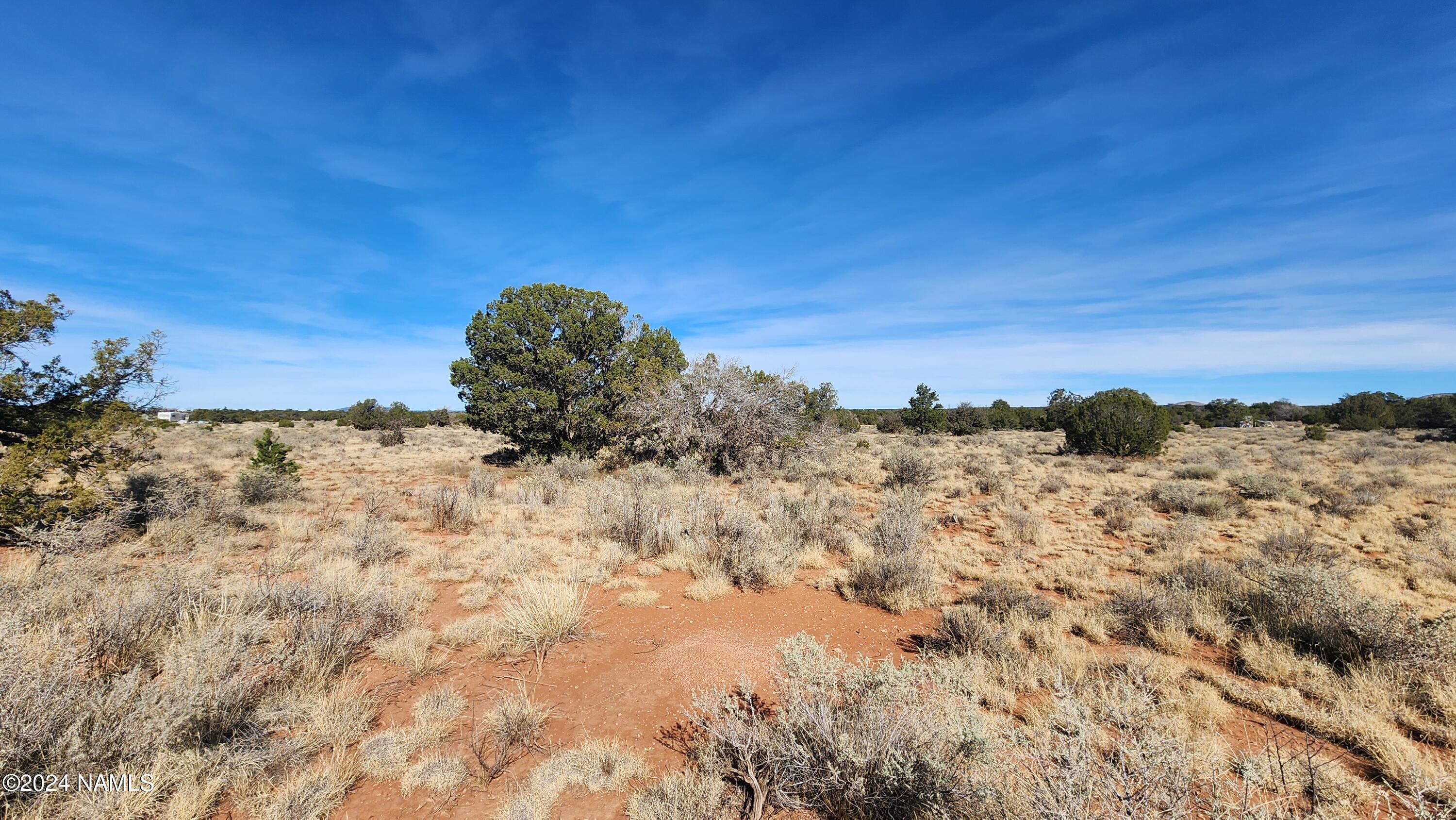 2091-2119 South Mountain View Road Williams, AZ 86046 - Photo 6 of 30 1000022311