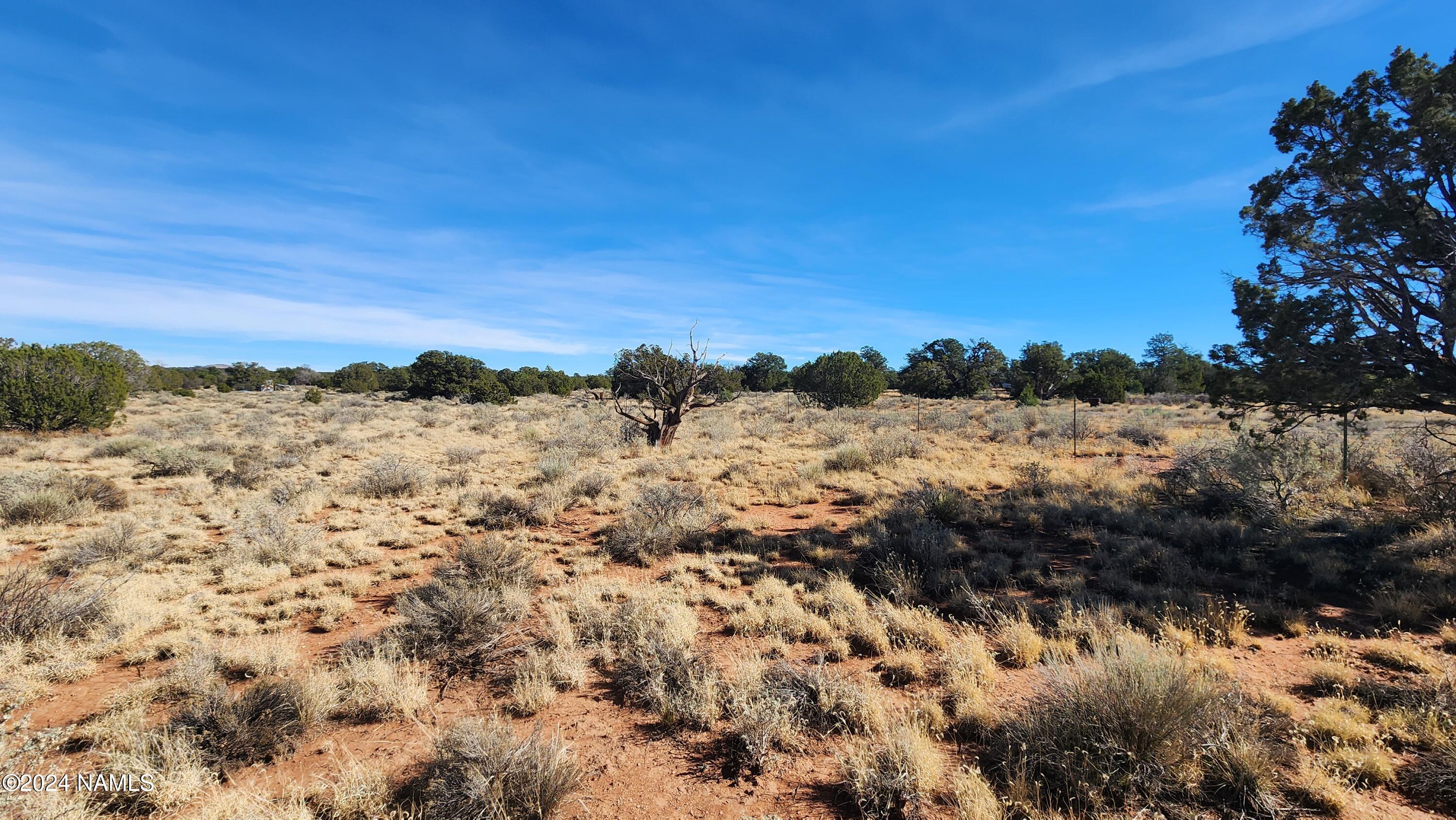 2091-2119 South Mountain View Road Williams, AZ 86046 - Photo 7 of 30 1000022312