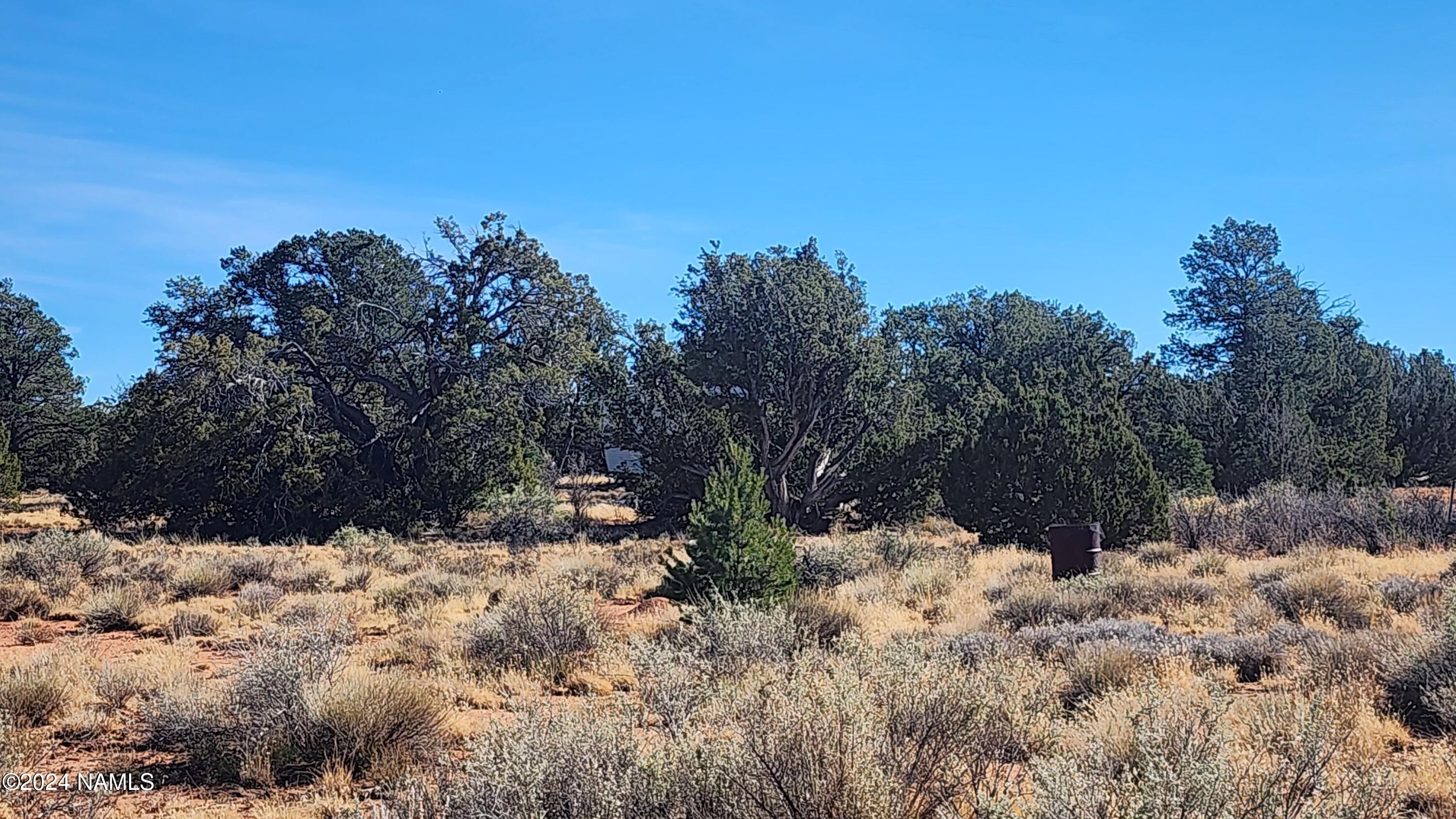 2091-2119 South Mountain View Road Williams, AZ 86046 - Photo 9 of 30 1000022317