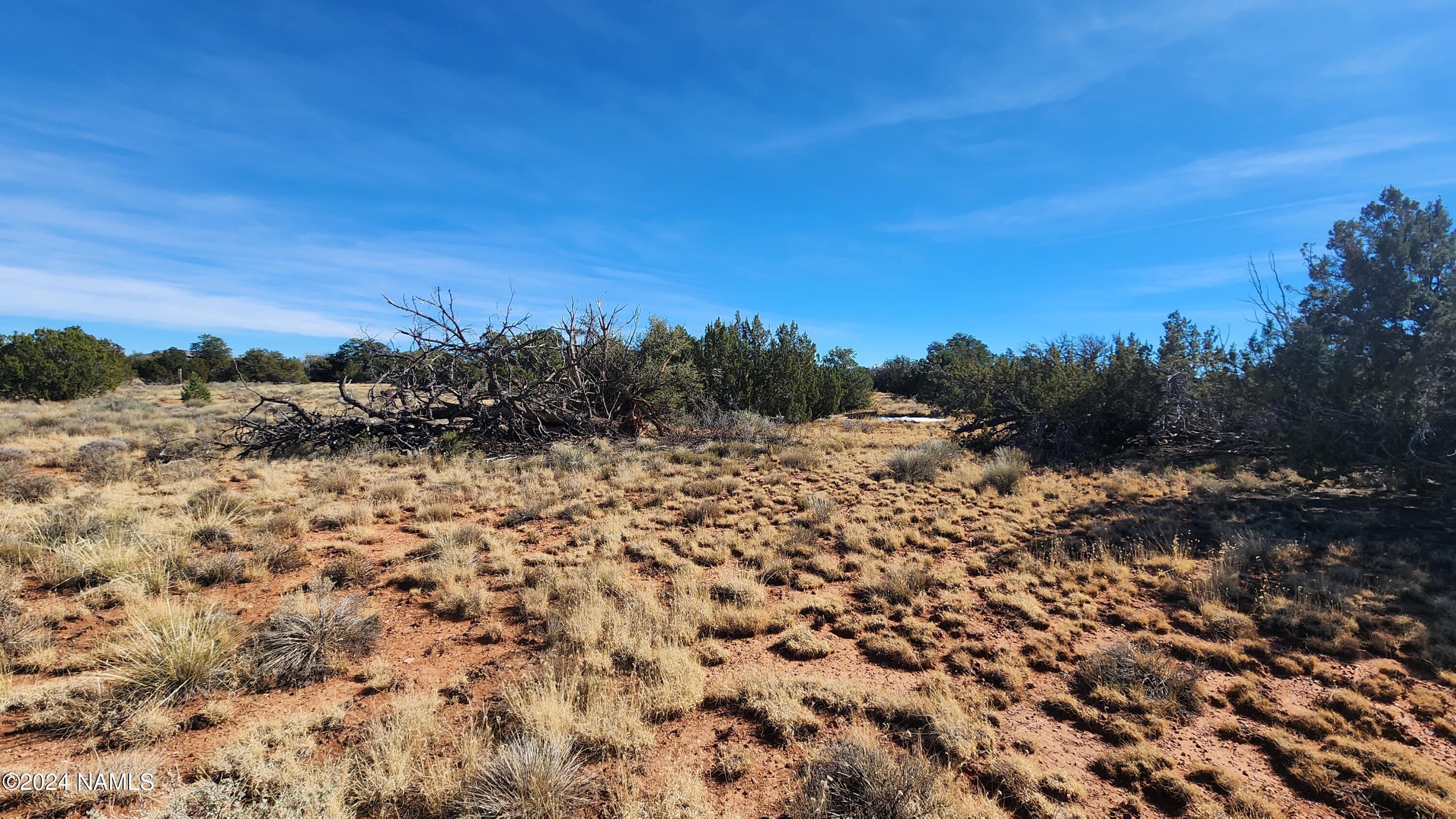 2091-2119 South Mountain View Road Williams, AZ 86046 - Photo 10 of 30 1000022315
