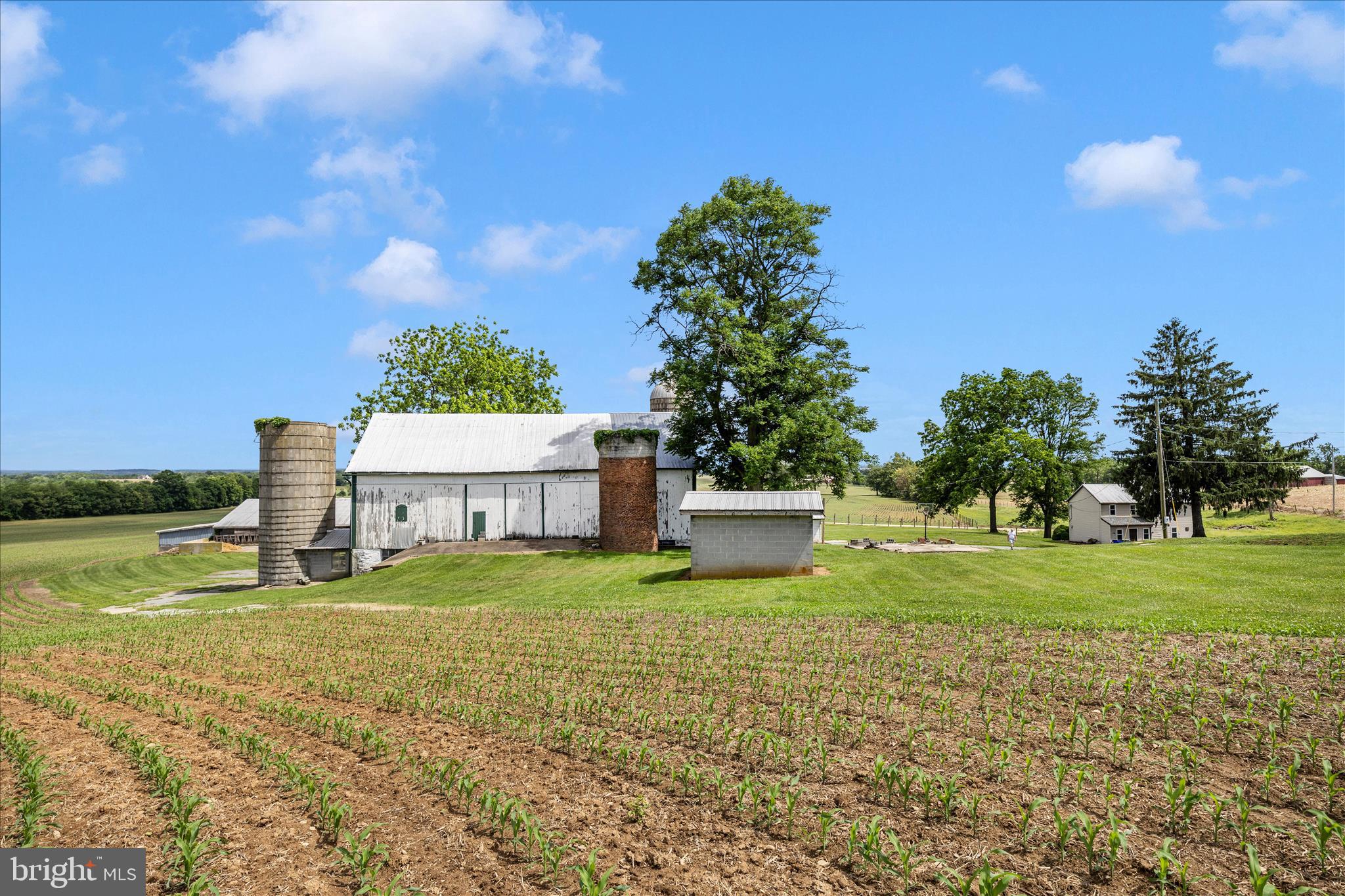 4739 Elmer Derr Road Frederick, MD 21703 - Photo 89 of 97 Bank barn