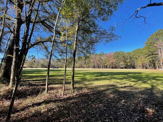 2 Fish Road Ridgeville, SC 29472 - Photo 7 of 17 IMG_6163