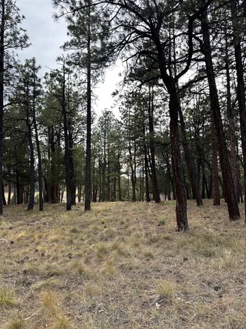 a view of outdoor space with trees