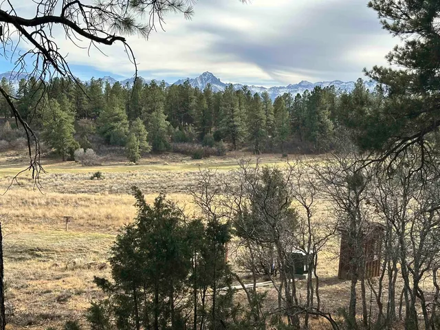 a view of a yard with mountain view