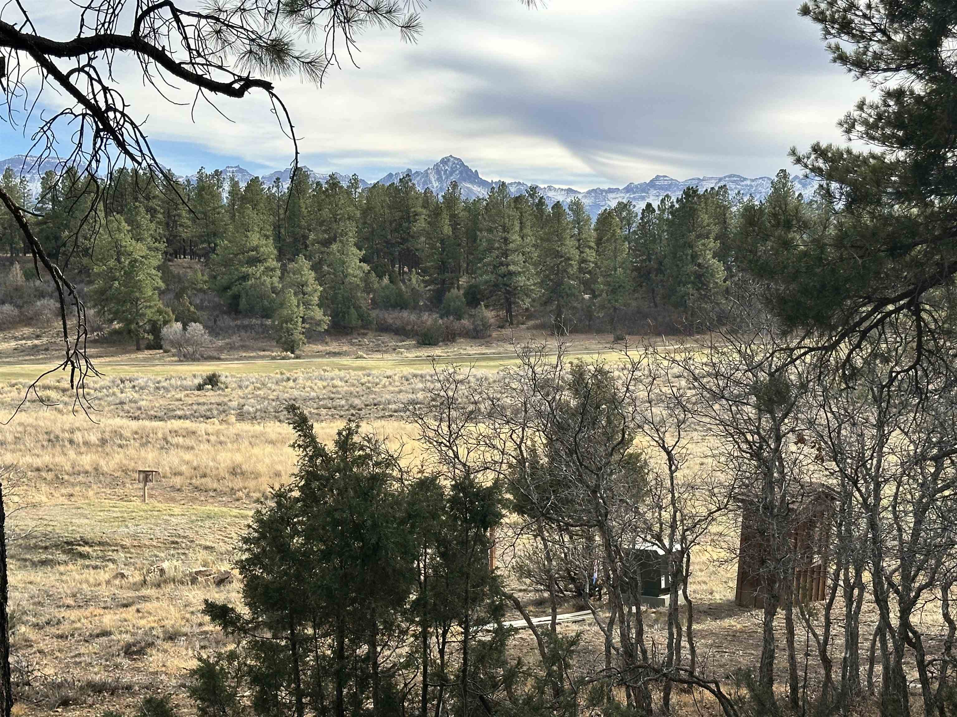 46 Marmot Drive Ridgway, CO 81432 - Photo 3 of 7 a view of a yard with mountain view