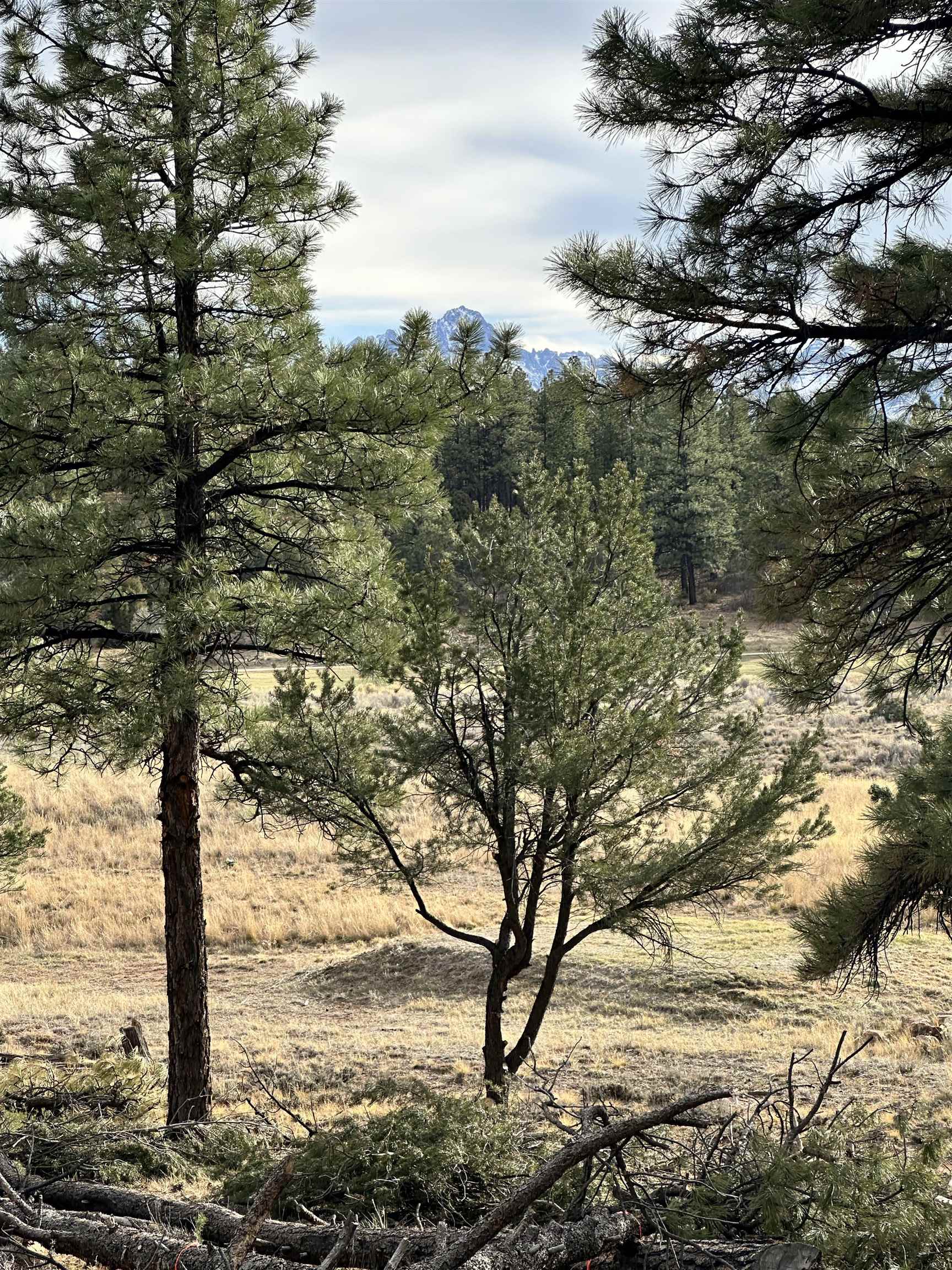 46 Marmot Drive Ridgway, CO 81432 - Photo 6 of 7 a view of lake