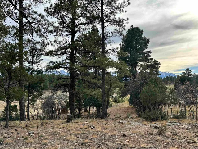 a view of outdoor space