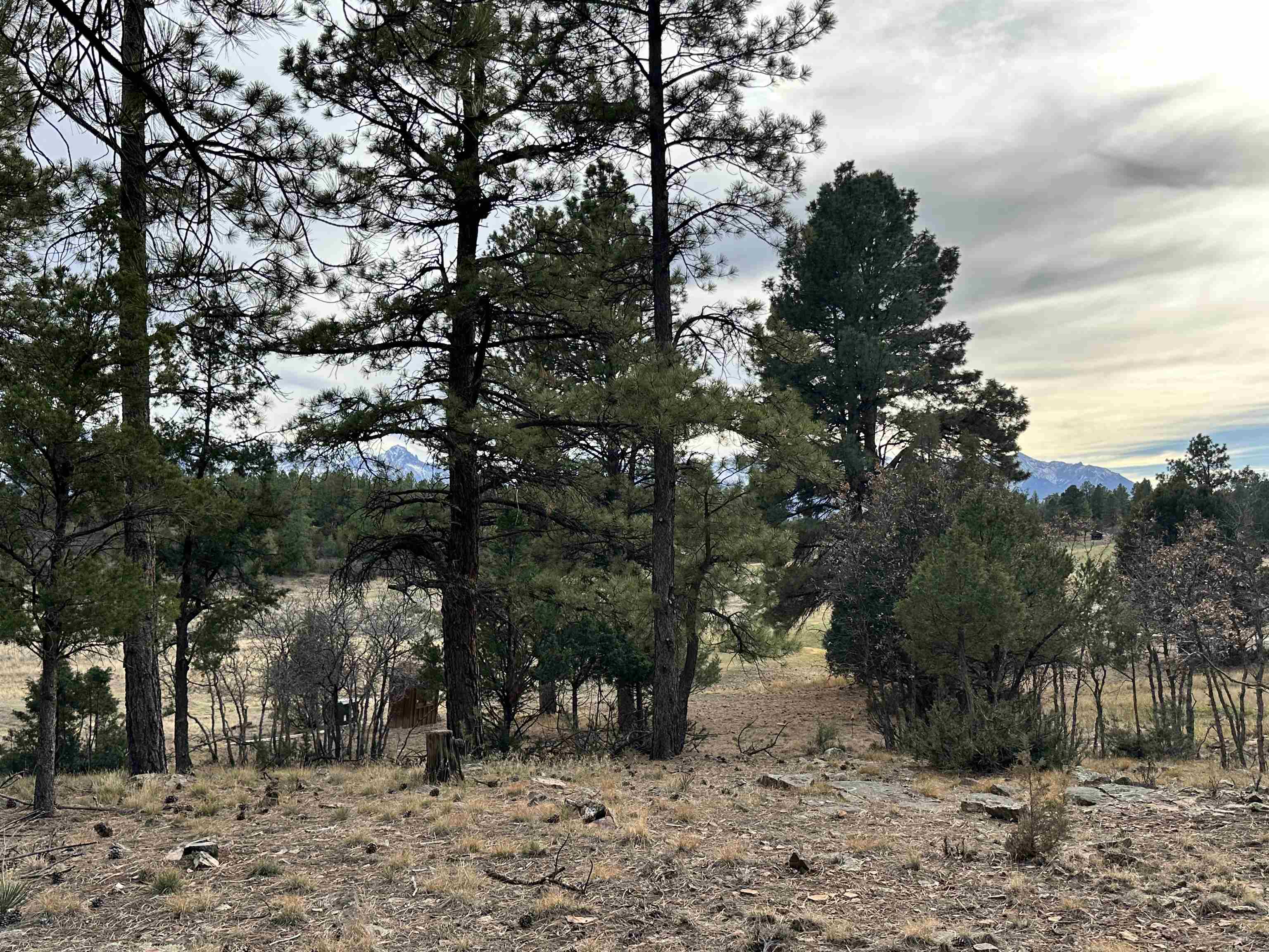 46 Marmot Drive Ridgway, CO 81432 - Photo 7 of 7 a view of outdoor space
