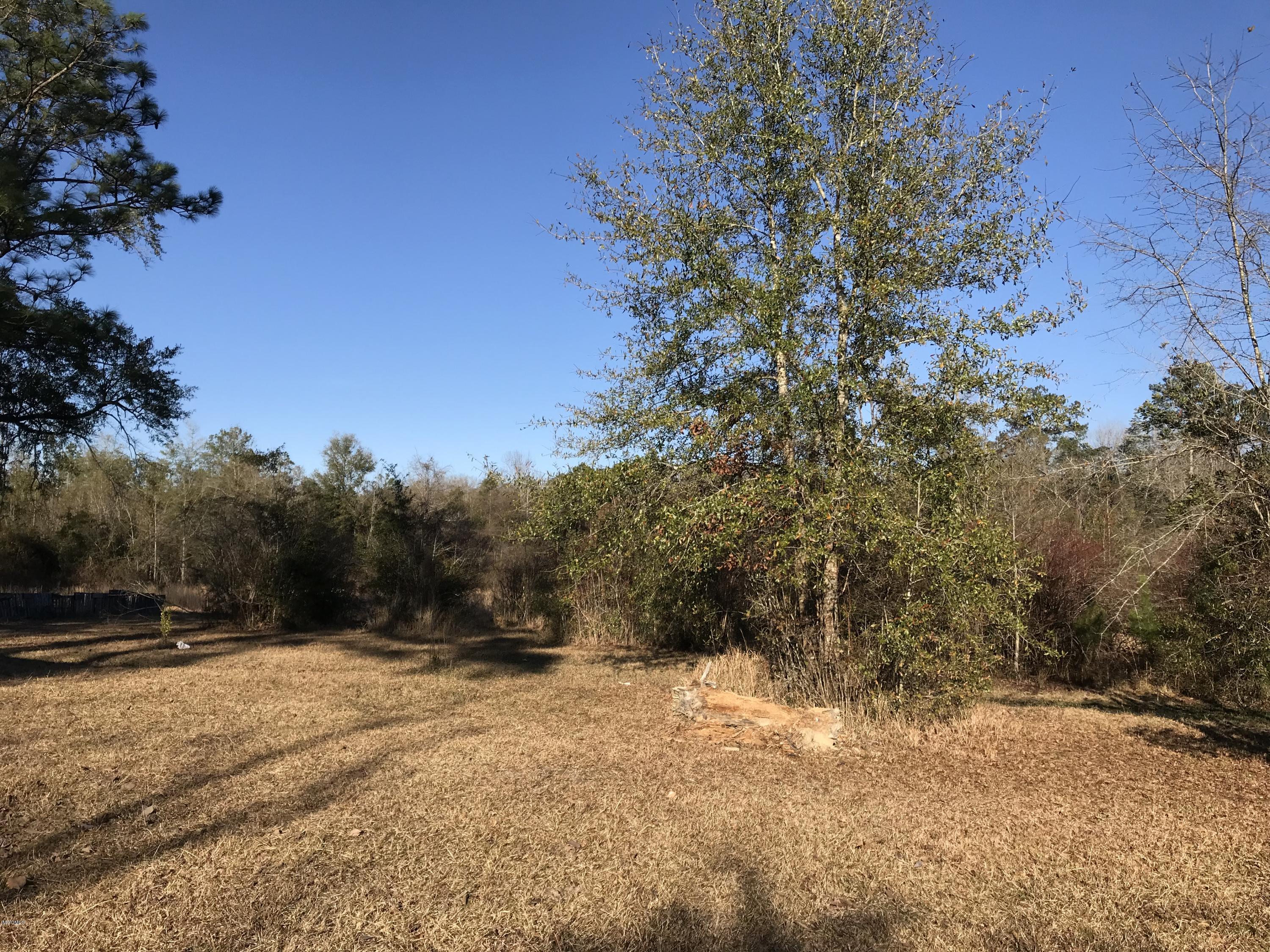 150 River Road Lucedale, MS 39452 - Photo 49 of 51 IMG_4925