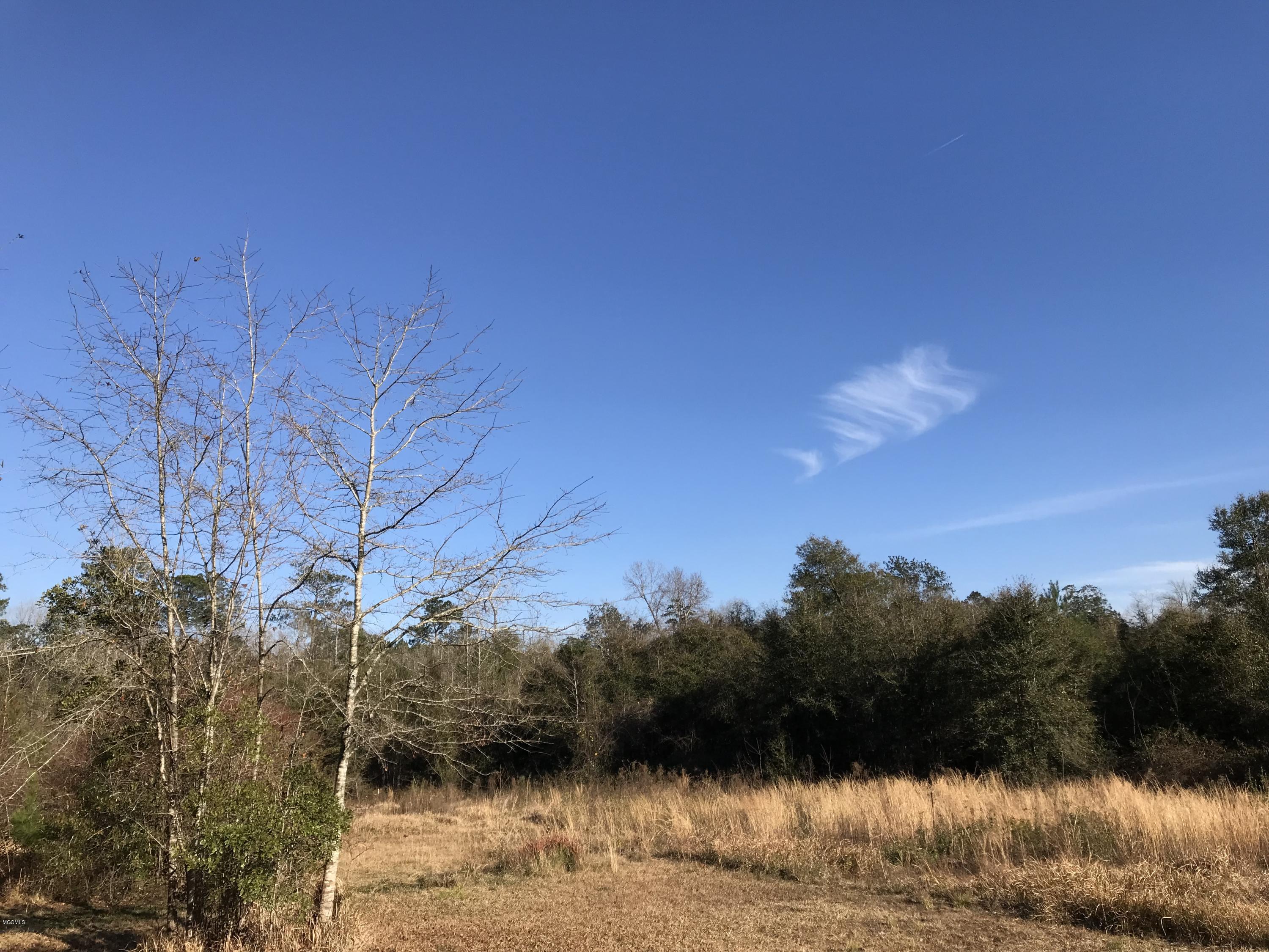 150 River Road Lucedale, MS 39452 - Photo 50 of 51 IMG_4927