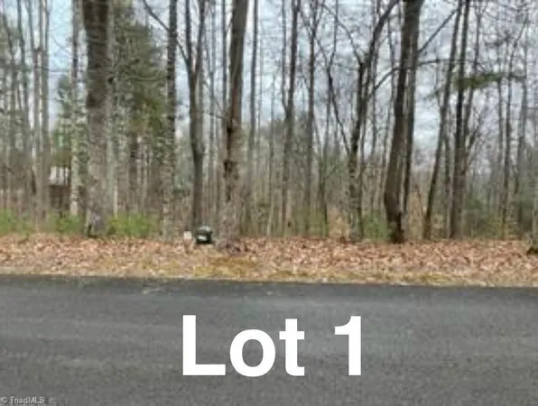 $29,999 | Lot 1 Reserve Trail, Stuart, VA 24171