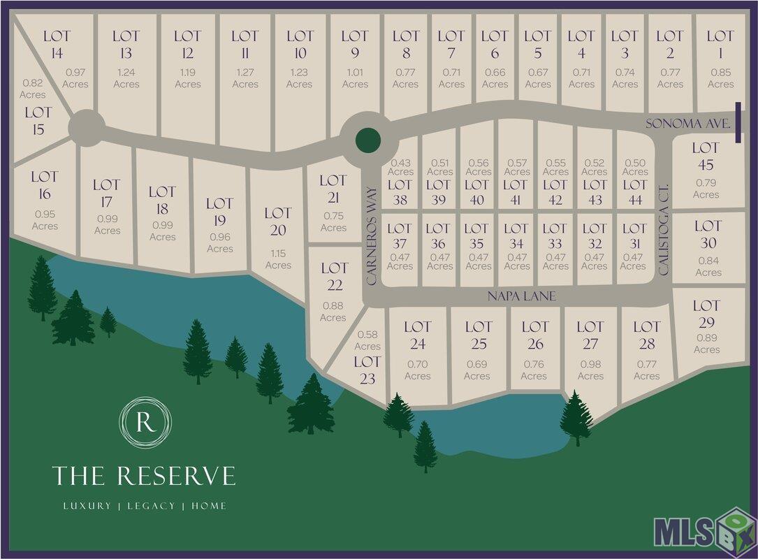 27041 Napa Lane Slaughter, LA 70777 - Photo 2 of 2