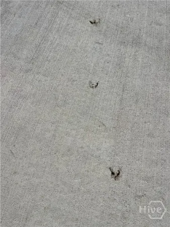 $399,999 | 2269 Highway 119, Guyton, GA 31312