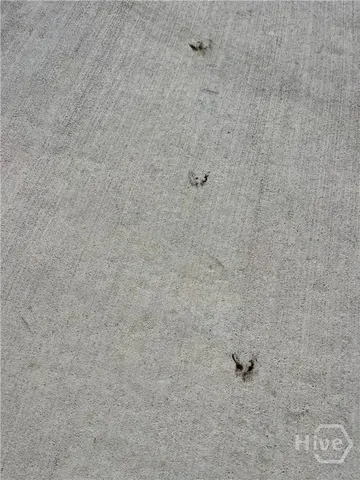 $399,999 | 2269 Highway 119, Guyton, GA 31312