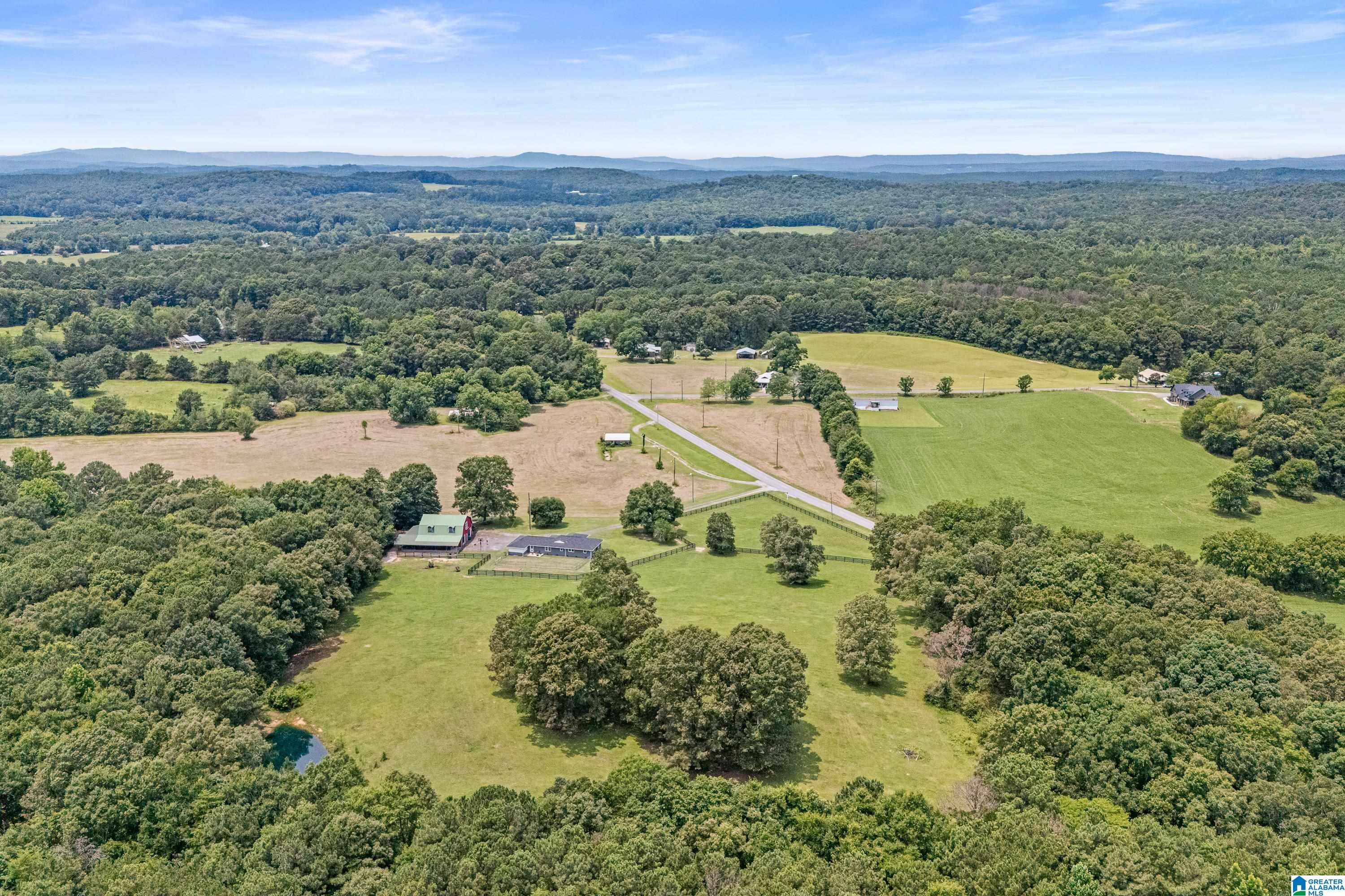 2304 Driving Range Road Cropwell, AL 35054 - Photo 58 of 59