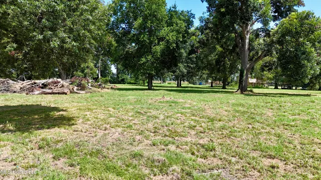 $250,000 | 6 Acres Mol Eagle Lake, Vicksburg, MS 39183