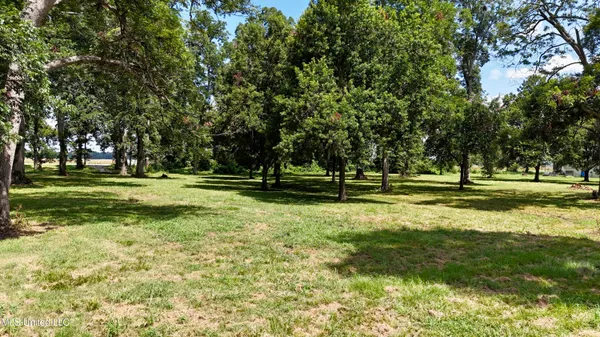 $179,000 | 6 Acres Mol Eagle Lake, Vicksburg, MS 39183