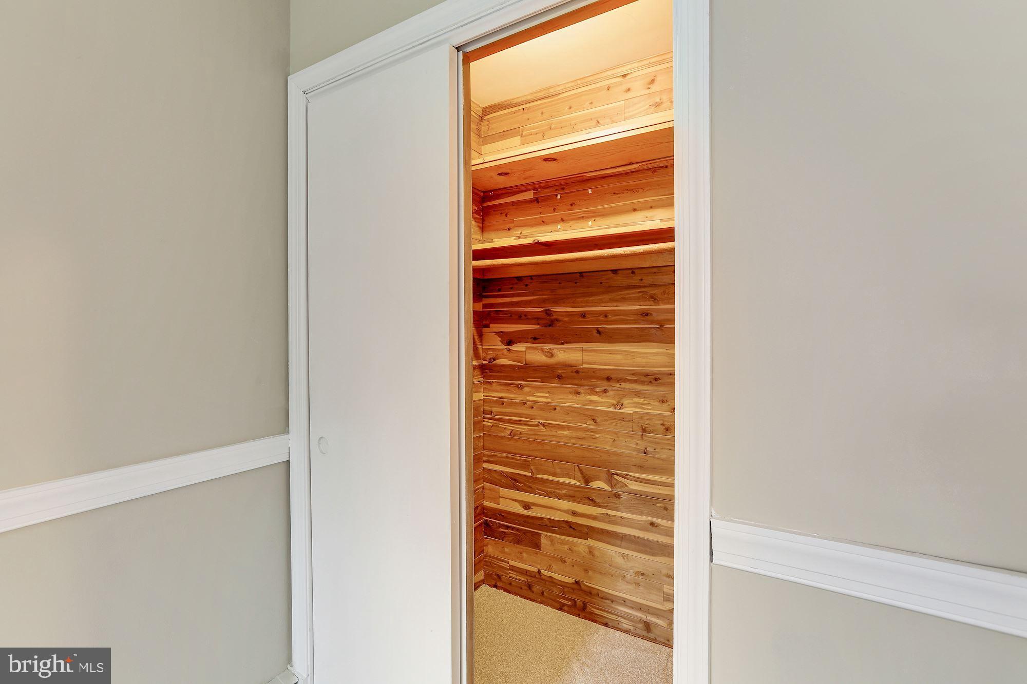 27237 Ridge Road Damascus, MD 20872 - Photo 26 of 43 Bedroom 3 Cedar Closet