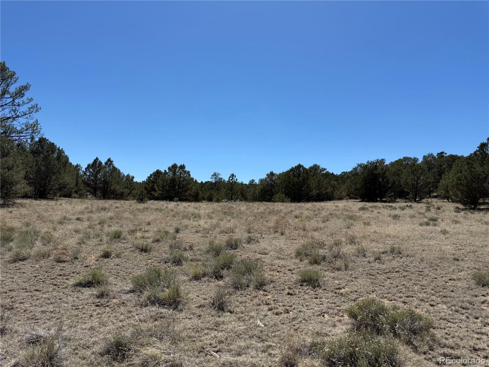 520 West View Road Cotopaxi, CO 81223 - Photo 17 of 28 Gallery Image 17