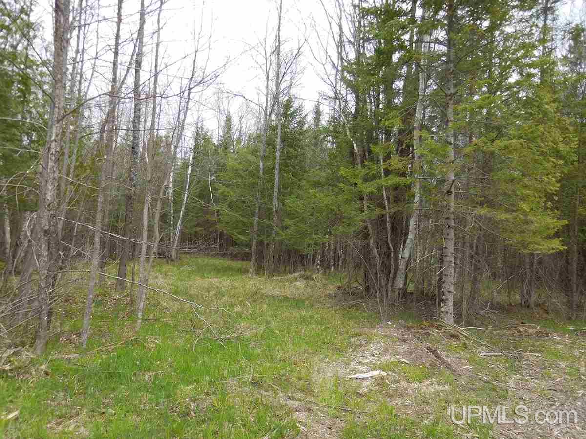 Tbd Kk Road Rapid River, MI 49864 - Photo 1 of 13