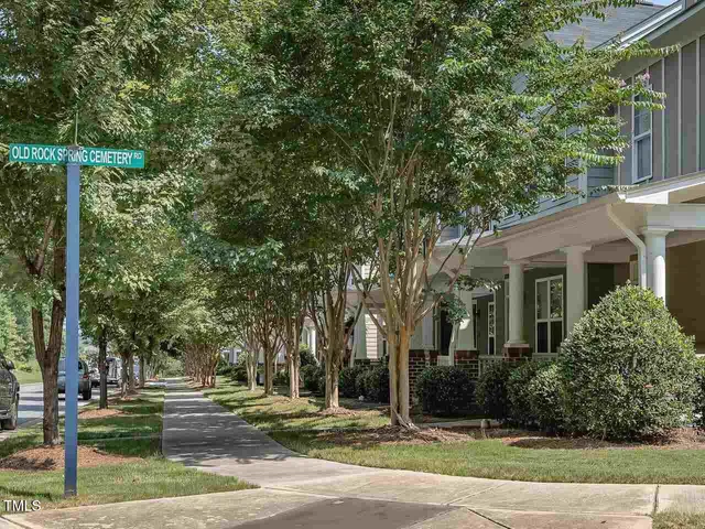 a view of a yard with plants and trees