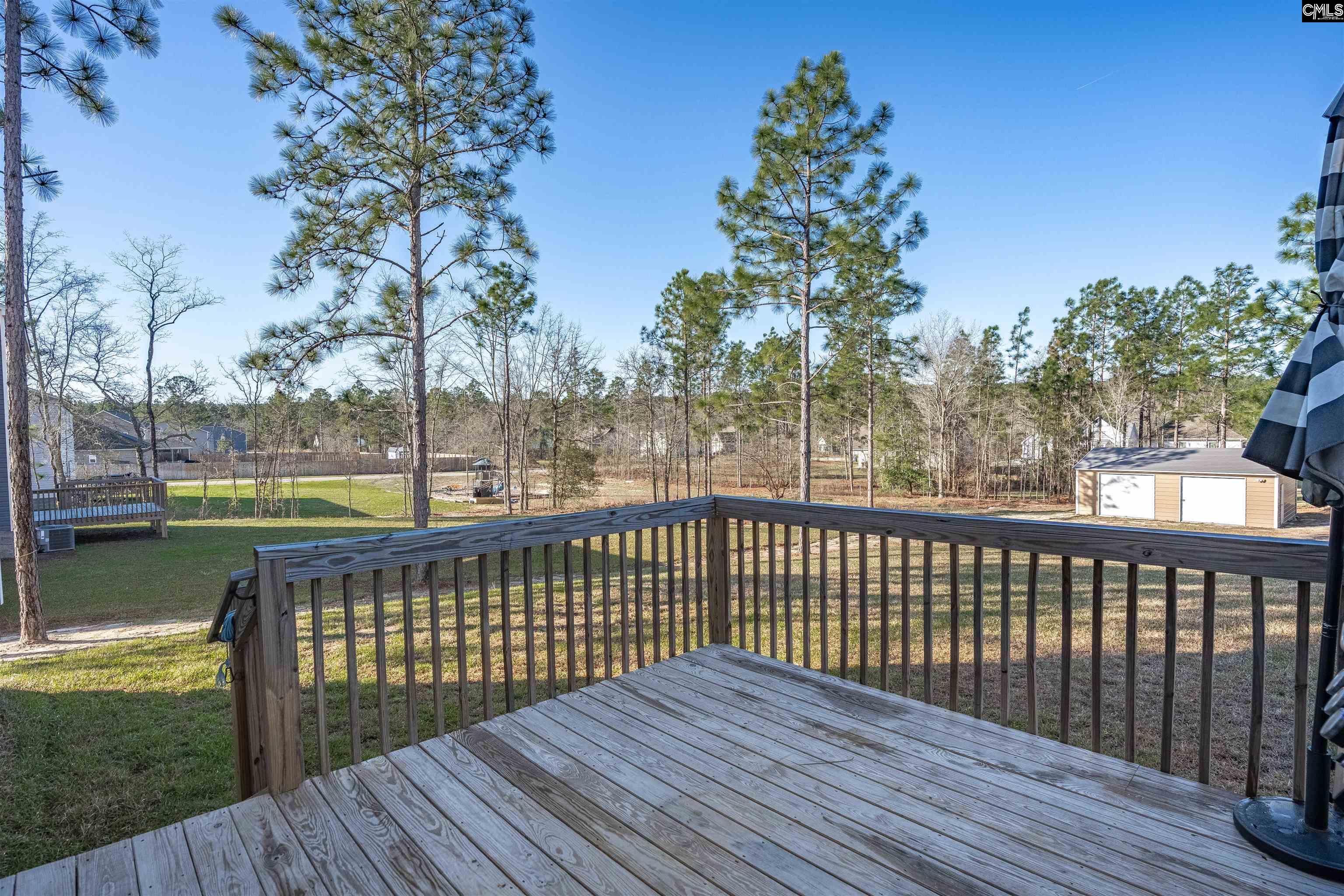 652 Rose Quartz Lane Lexington, SC 29073 - Photo 39 of 51