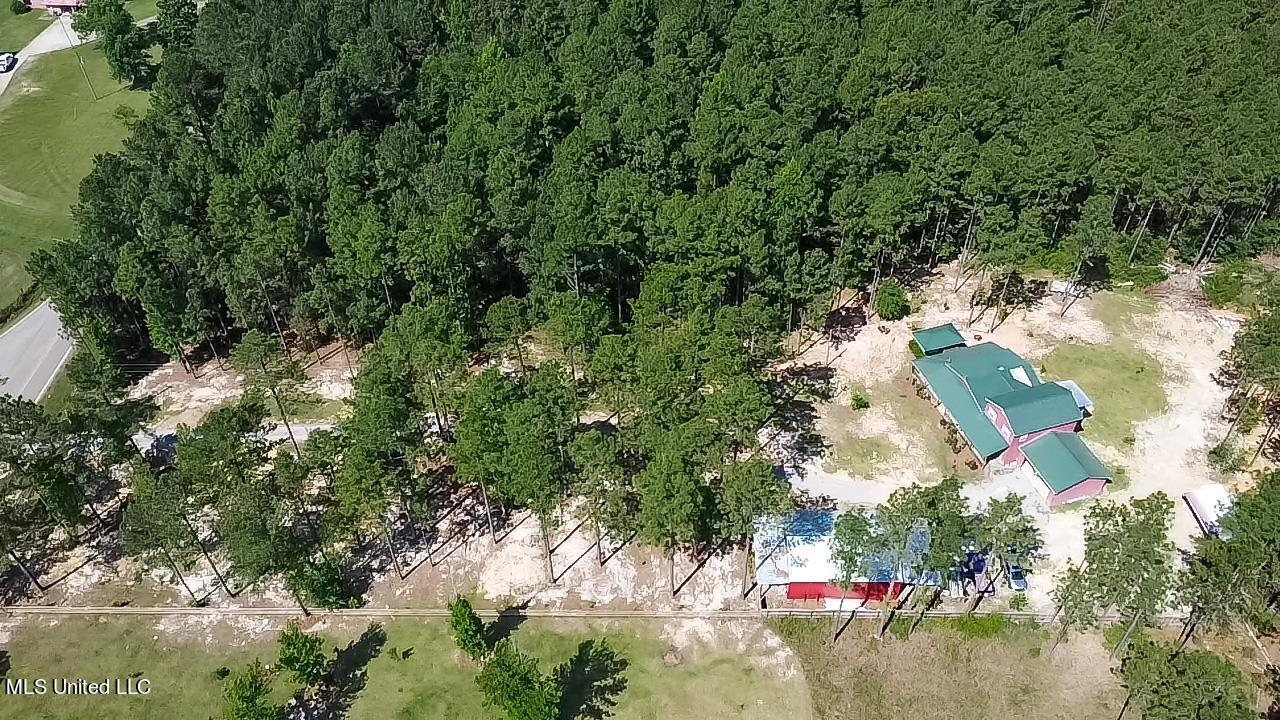 1212 Purvis To Baxterville Road Purvis, MS 39475 - Photo 42 of 47 42