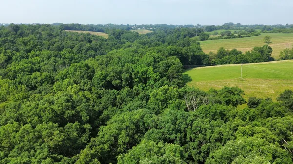 $739,000 | 277 Needham Lane, Dry Ridge, KY 41035