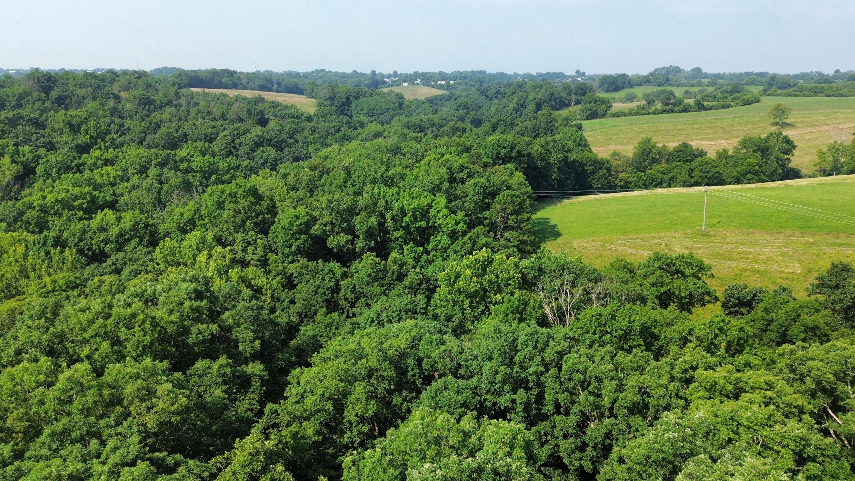 dji_fly_20260719_182432_58_1784563408447