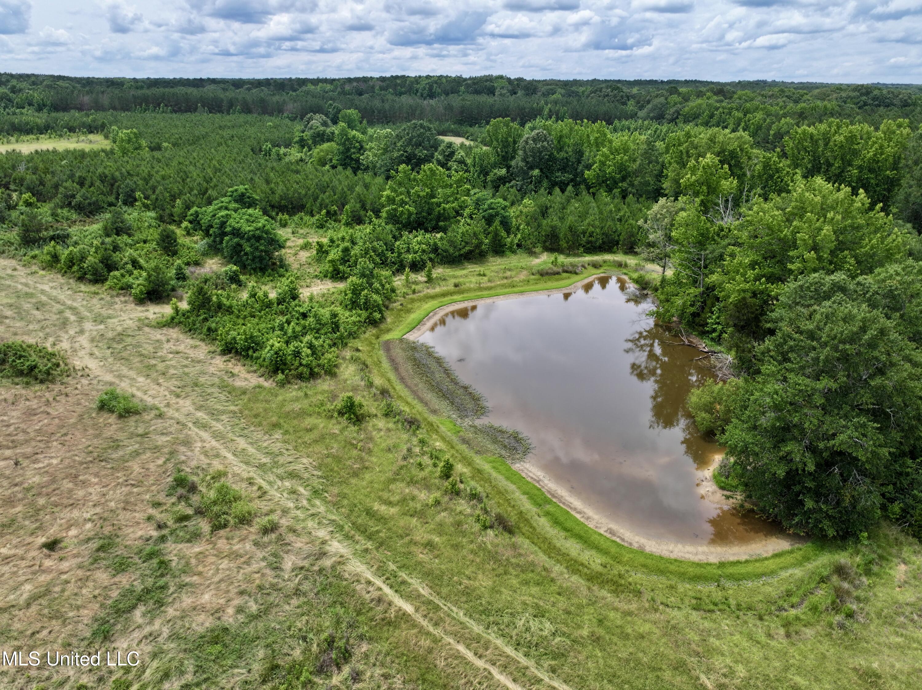 Franklin Road Goodman, MS 39079 - Photo 1 of 47 front