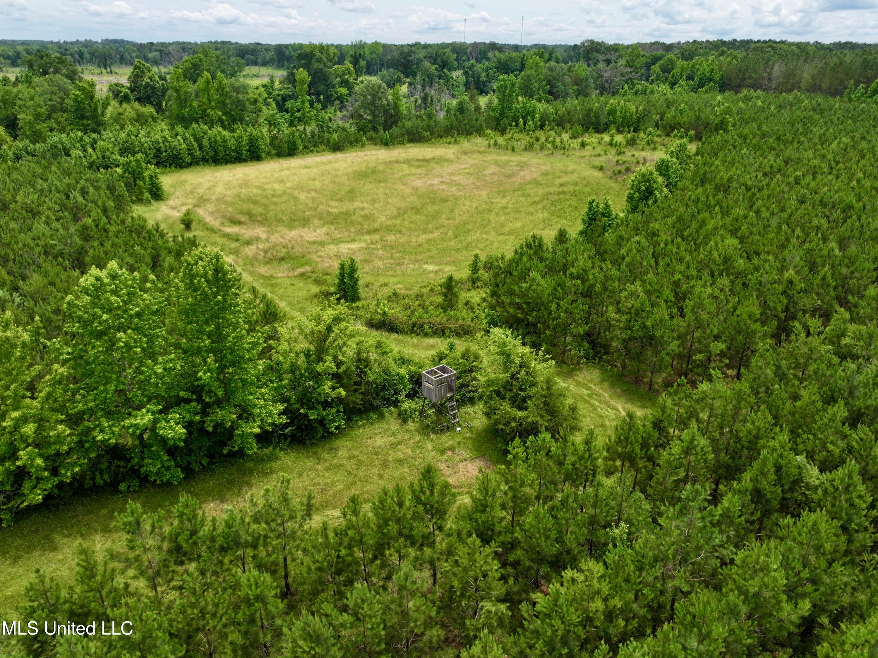 Franklin Road Goodman, MS 39079 - Photo 12 of 47 dji_fly_20250528_132734_0011_17485189389