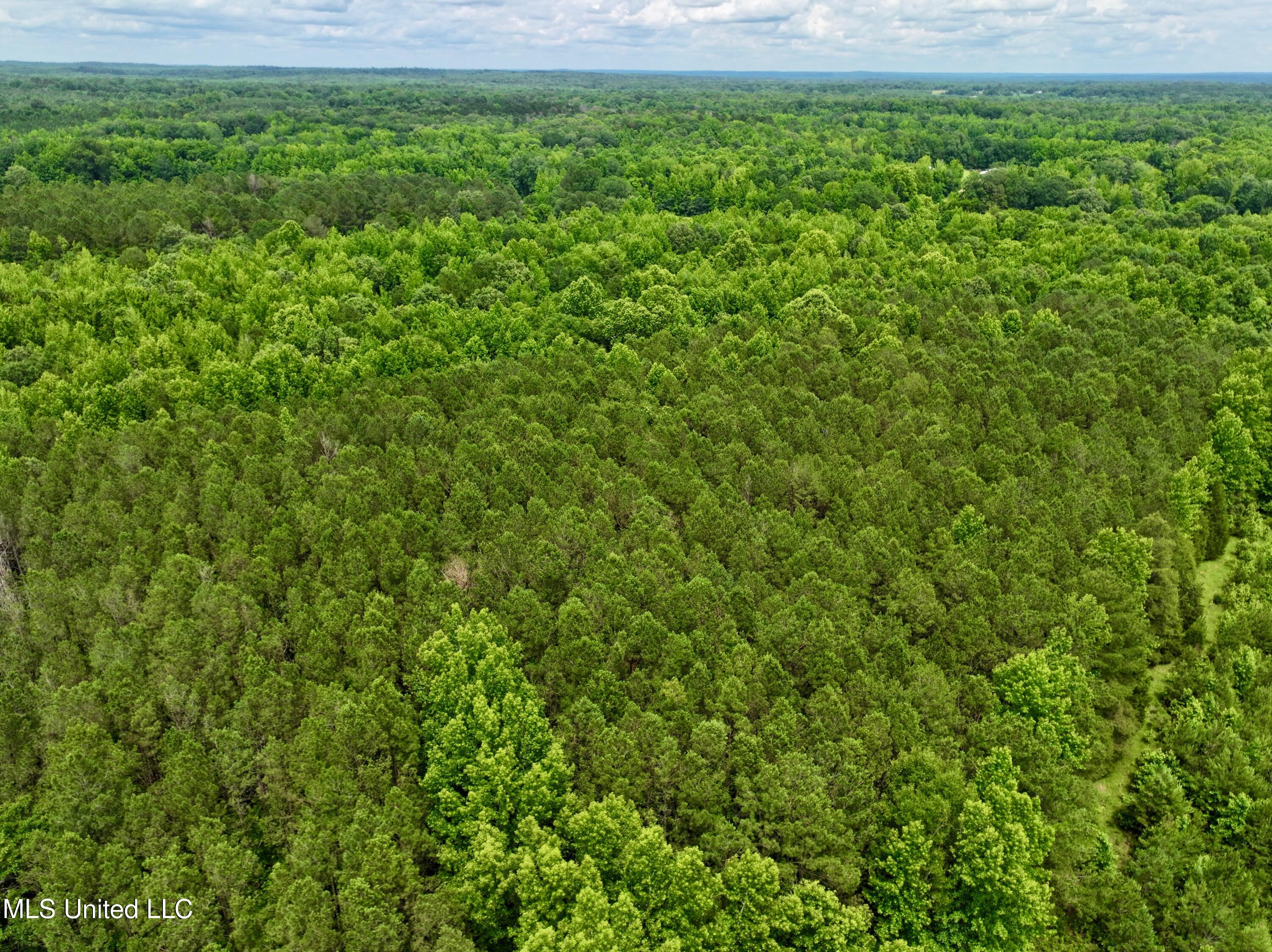 Franklin Road Goodman, MS 39079 - Photo 15 of 47 dji_fly_20250528_133040_0014_17485189298