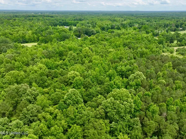 $349,000 | Franklin Road, Goodman, MS 39079