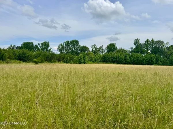 $349,000 | Franklin Road, Goodman, MS 39079
