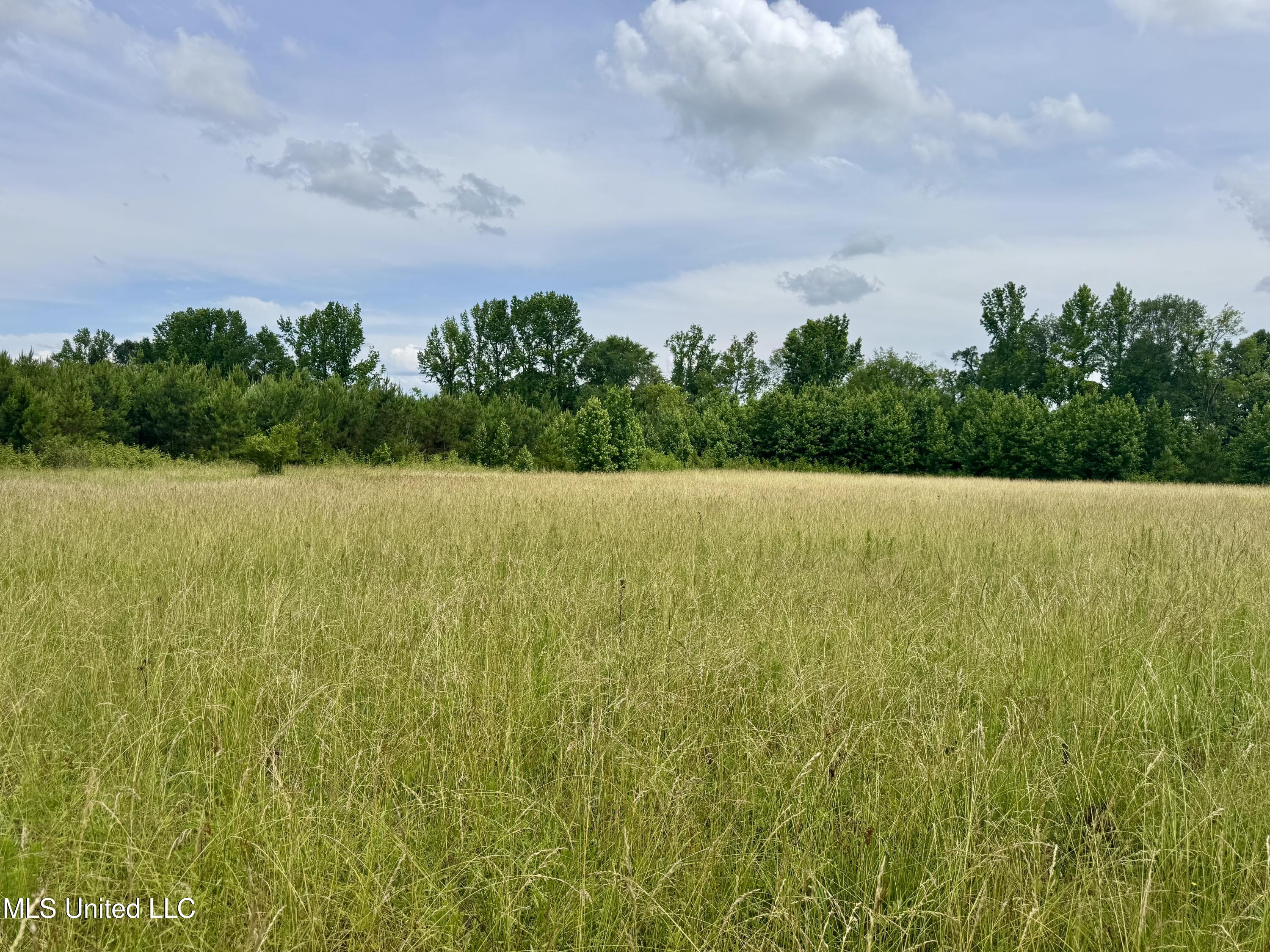 Franklin Road Goodman, MS 39079 - Photo 18 of 47 IMG_9102