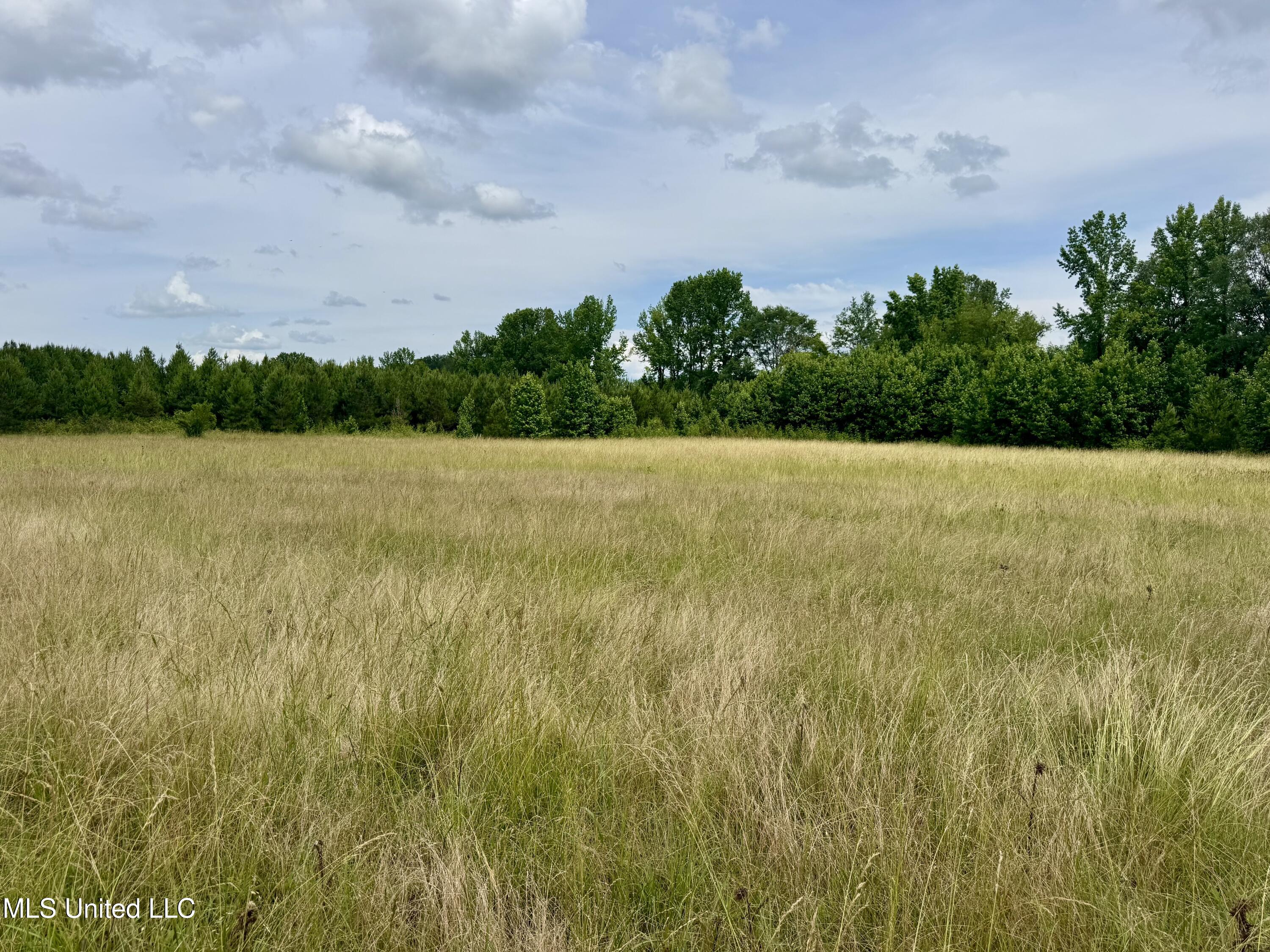 Franklin Road Goodman, MS 39079 - Photo 19 of 47 IMG_9103