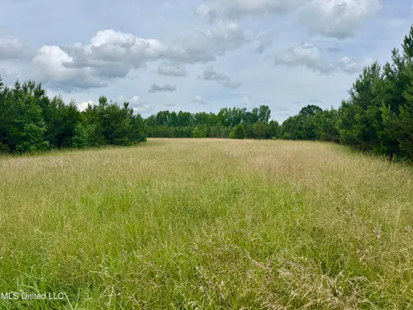 $349,000 | Franklin Road, Goodman, MS 39079