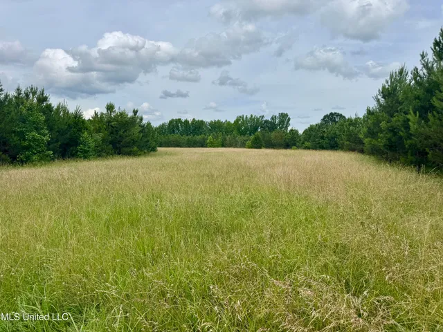 $399,000 | Franklin Road, Goodman, MS 39079
