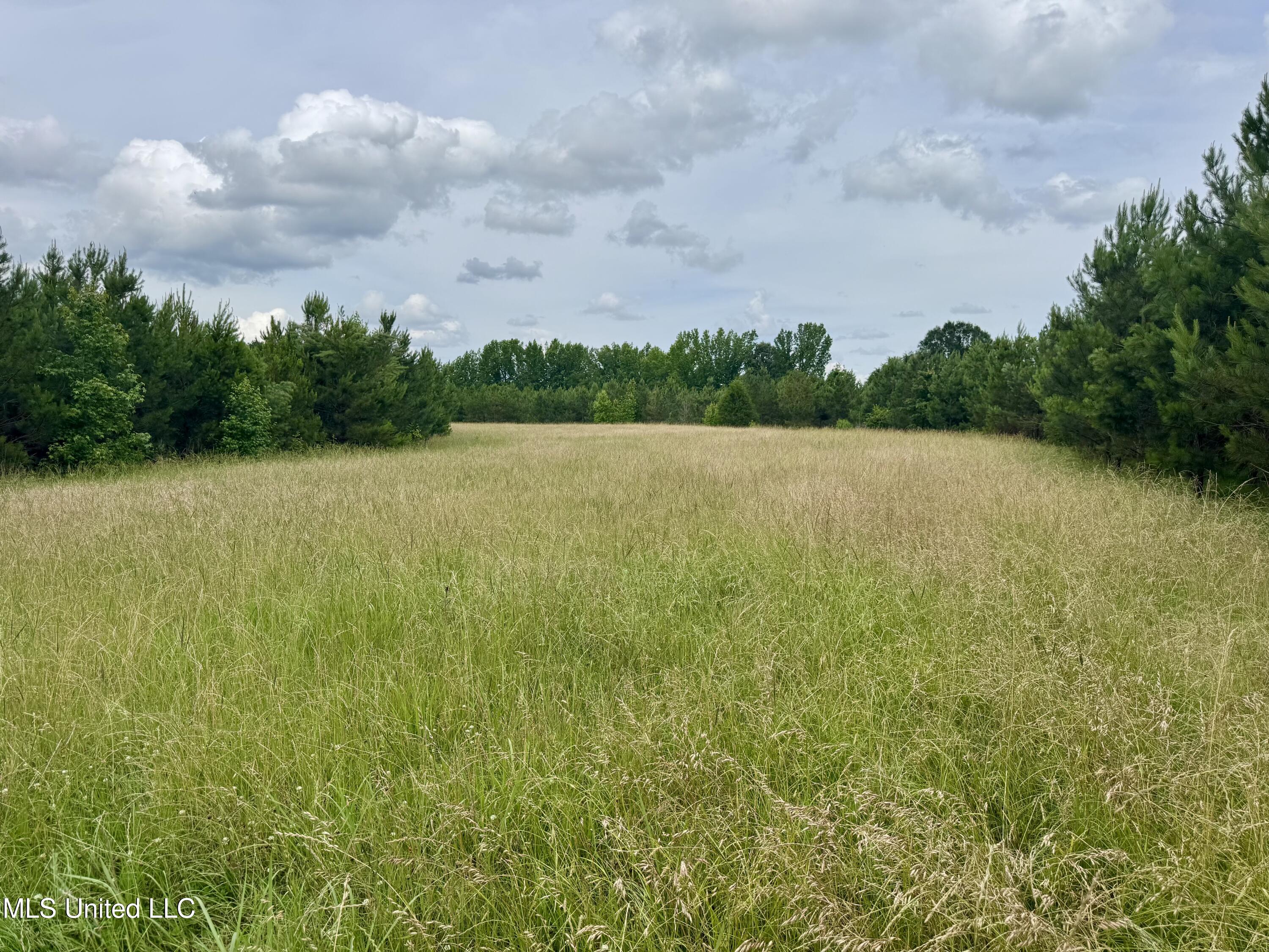 Franklin Road Goodman, MS 39079 - Photo 20 of 47 IMG_9104