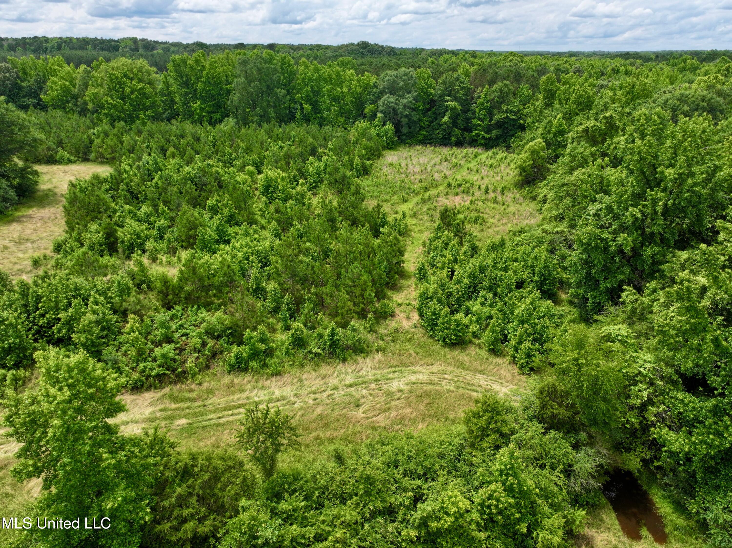 Franklin Road Goodman, MS 39079 - Photo 2 of 47 dji_fly_20250528_132430_0001_17485189655