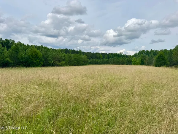 $349,000 | Franklin Road, Goodman, MS 39079