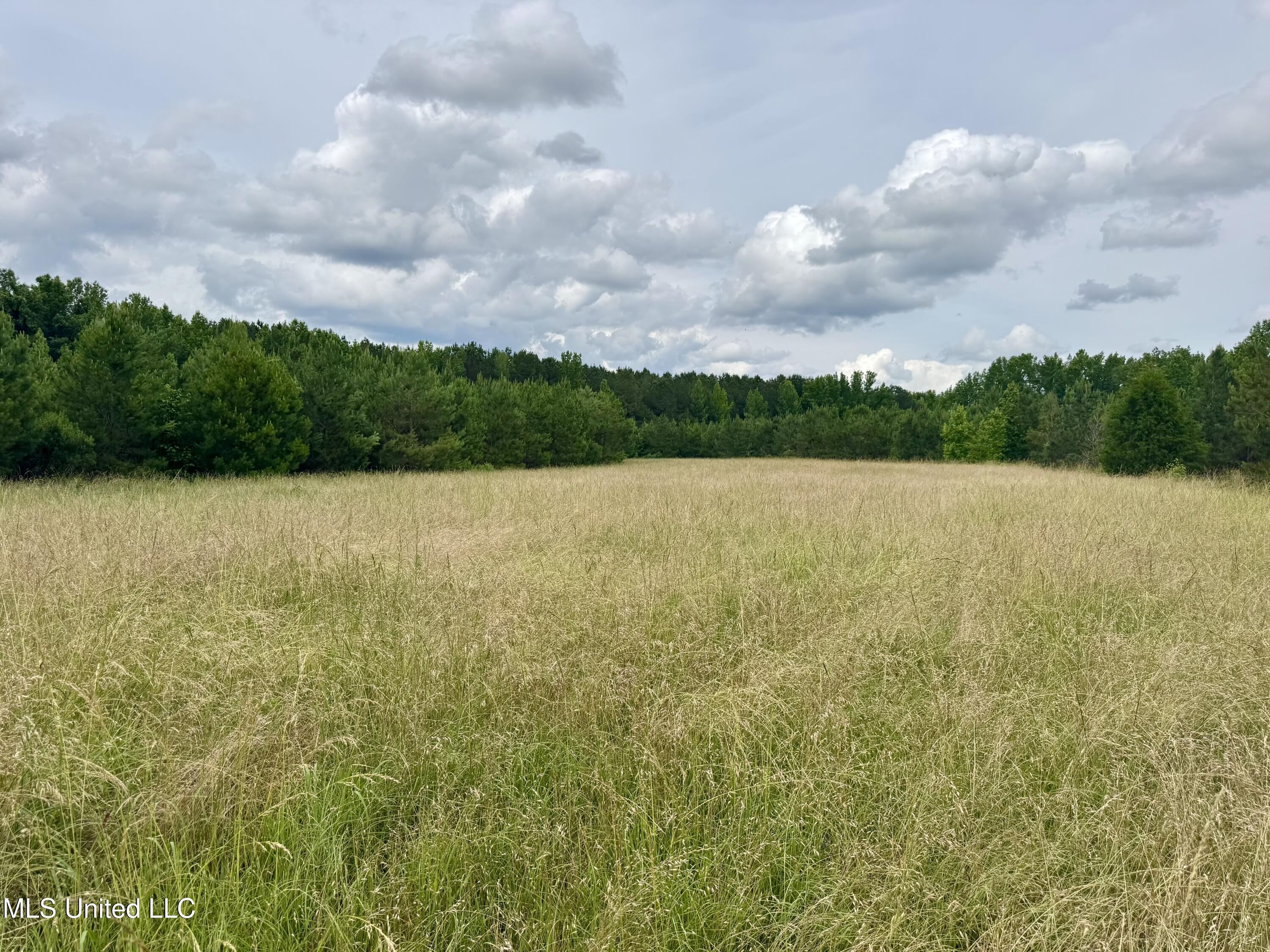 Franklin Road Goodman, MS 39079 - Photo 21 of 47 IMG_9105