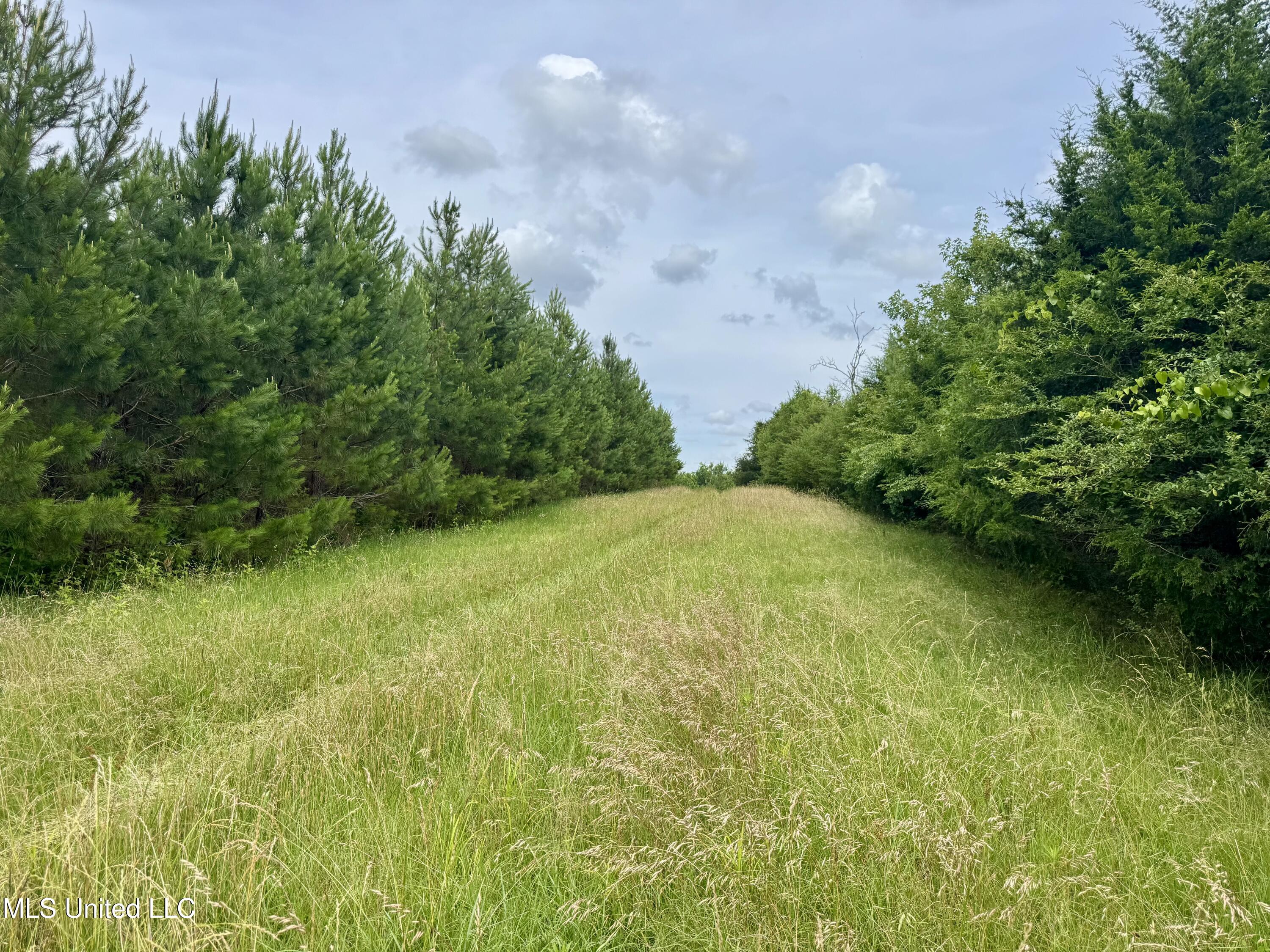 Franklin Road Goodman, MS 39079 - Photo 22 of 47 IMG_9107