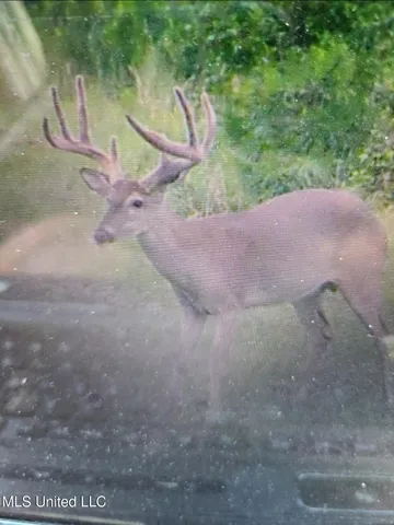 $399,000 | Franklin Road, Goodman, MS 39079