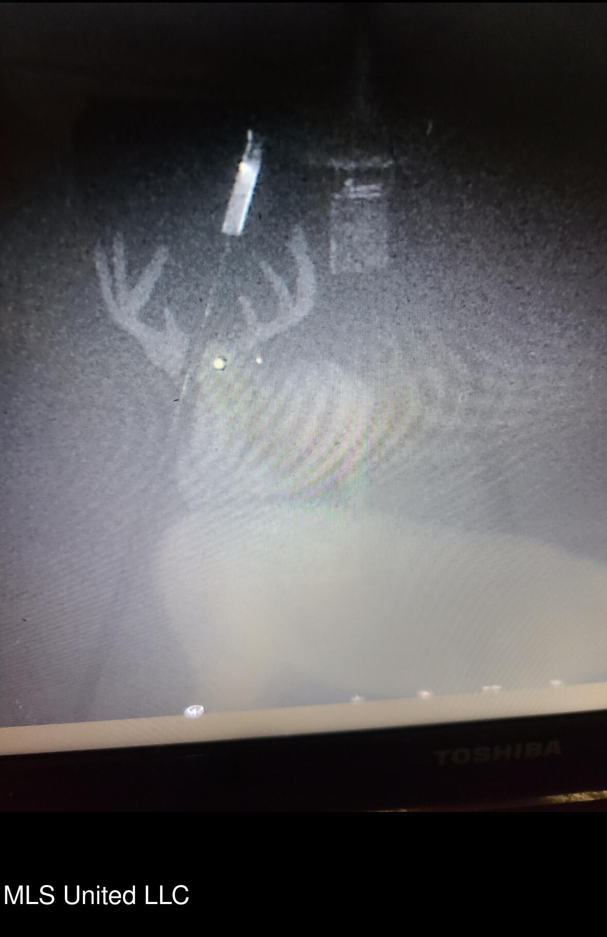 Franklin Road Goodman, MS 39079 - Photo 24 of 47 IMG_9148