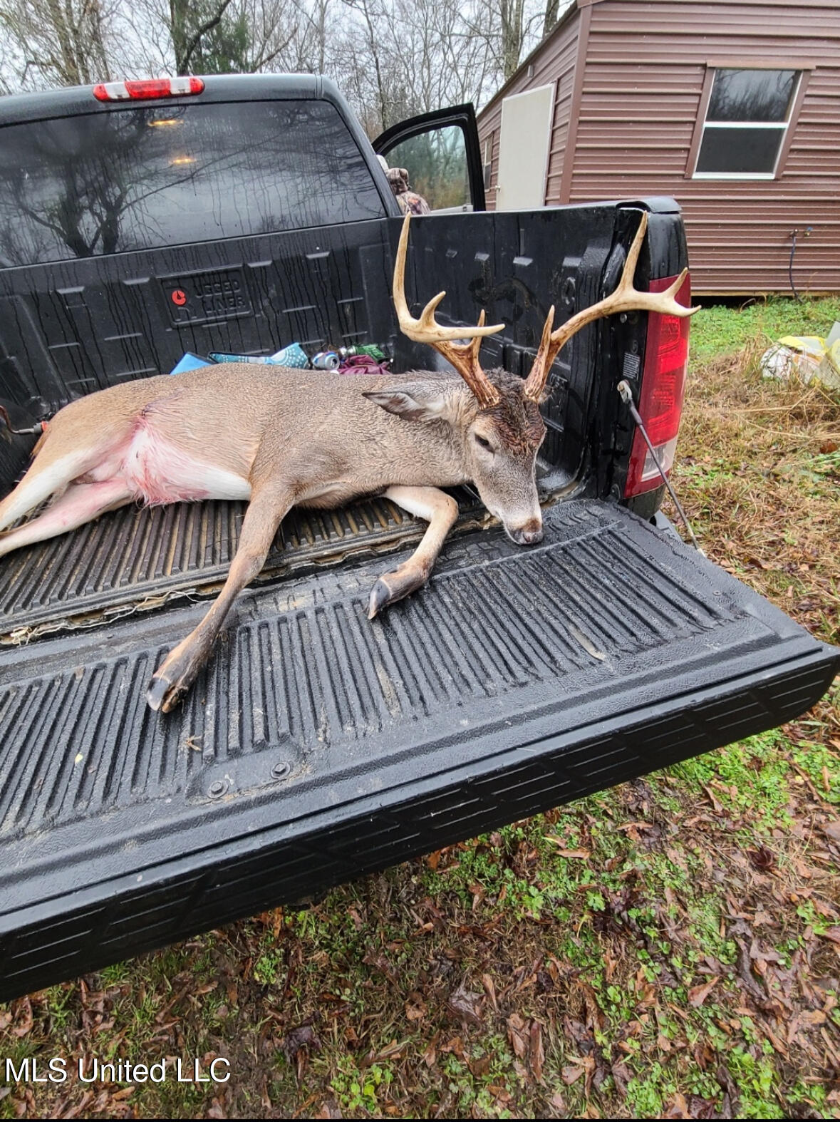Franklin Road Goodman, MS 39079 - Photo 25 of 47 IMG_9149